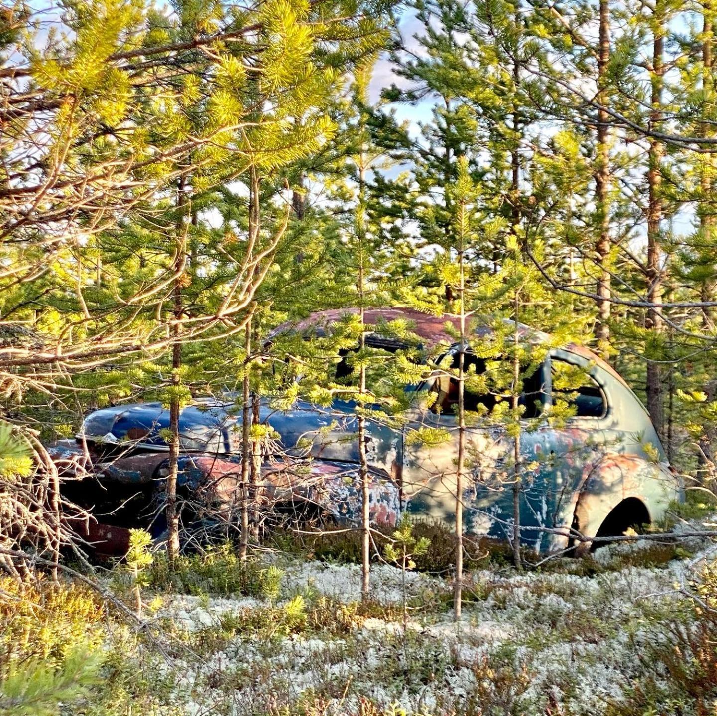 מלון Sörsjön Offroadcamp מראה חיצוני תמונה